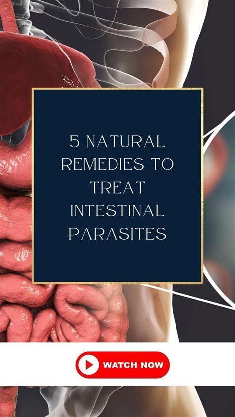 how to treat intestinal problems naturally