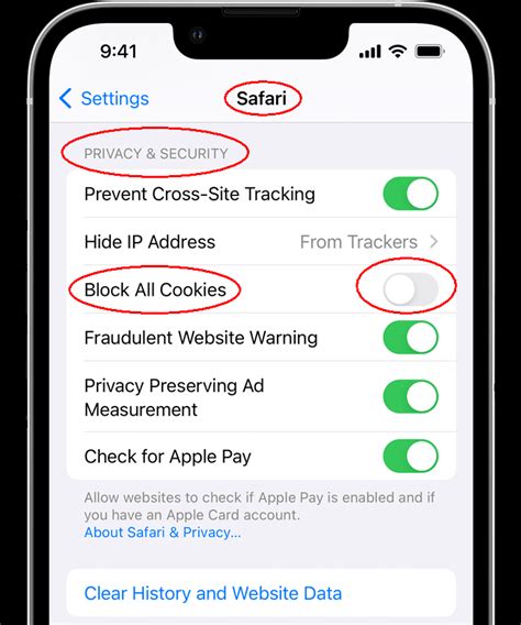 how to turn on cookies and javascript on iphone