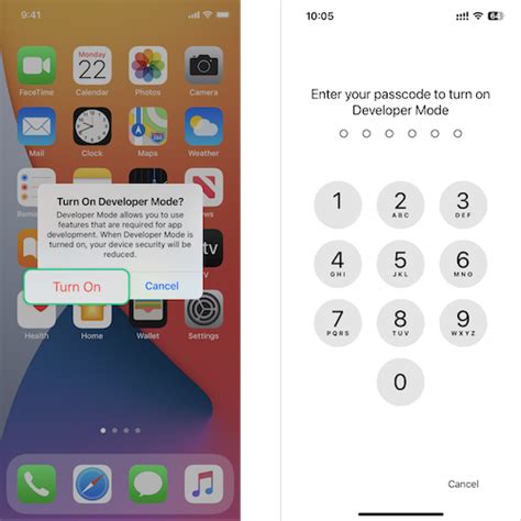 how to turn on developer mode on iphone
