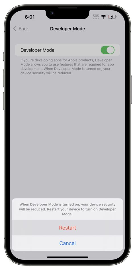 how to turn on developer mode on iphone 15