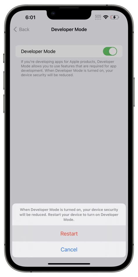 how to turn on developer mode on iphone without mac