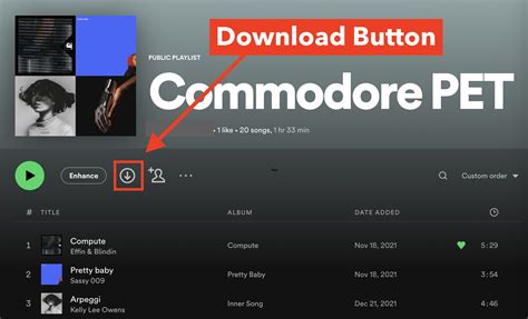 how to turn on mobile data download on spotify