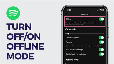how to turn on offline mode on spotify 2024