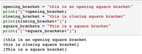 how to type square brackets in python