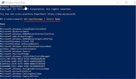 how to uninstall apps in windows 10 using powershell