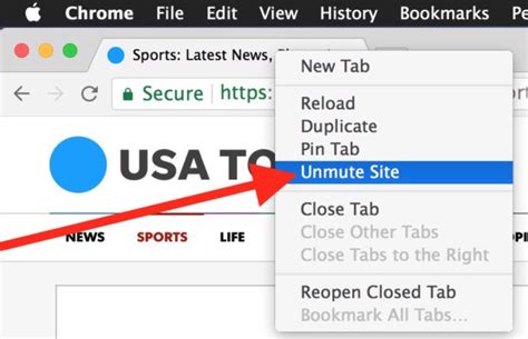 how to unmute site chrome