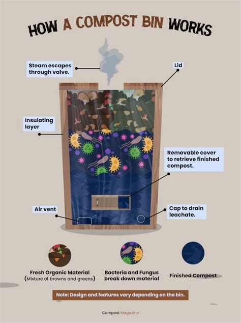 how to use a compost bin properly