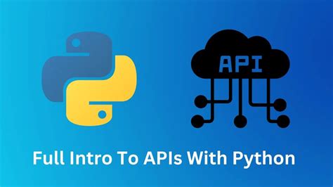 how to use api in python
