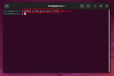 how to use chmod 755 command