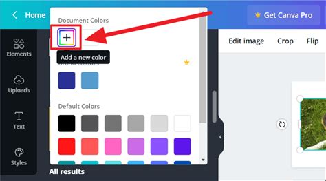 how to use colour picker on canva