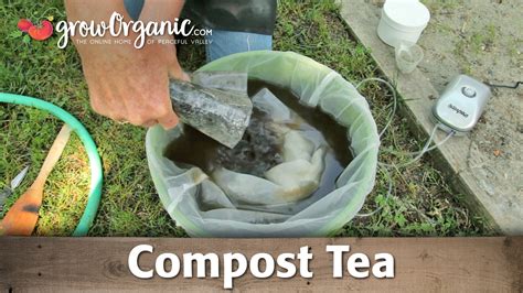 how to use compost tea in garden
