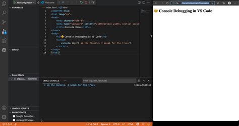 how to use debug console in vscode