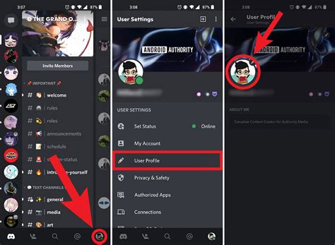 how to use discord picture in picture android