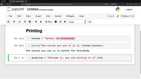 how to use format in python print