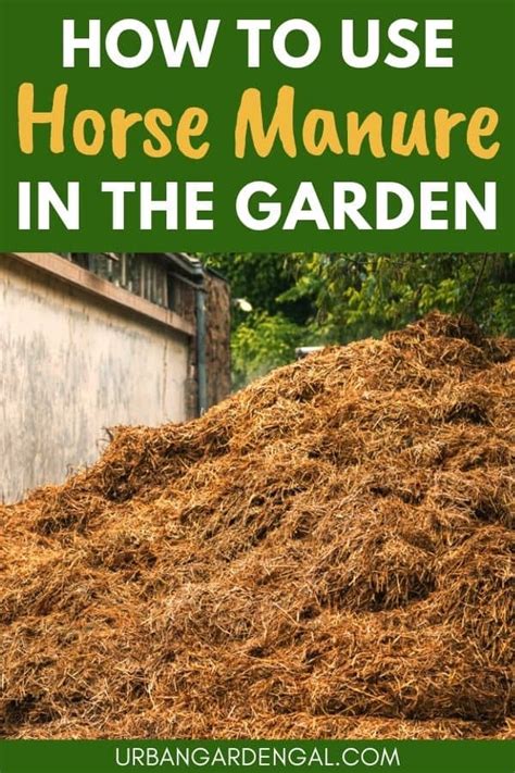 how to use fresh manure in the garden