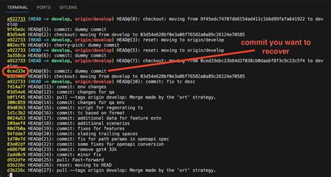 how to use git reflog