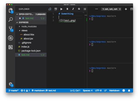 how to use git terminal in visual studio code