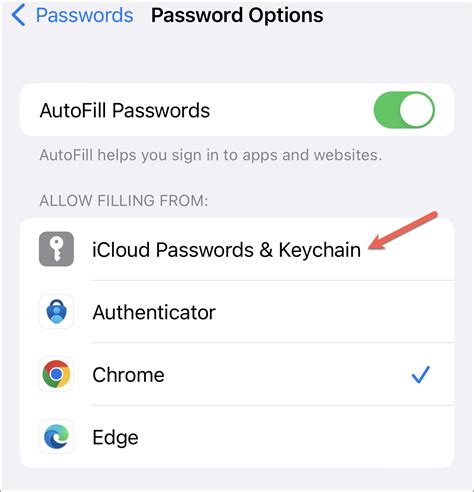 how to use google passwords on iphone