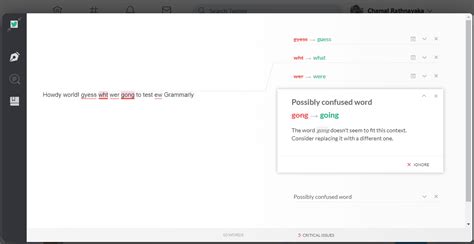 how to use grammarly to check your grammar in something