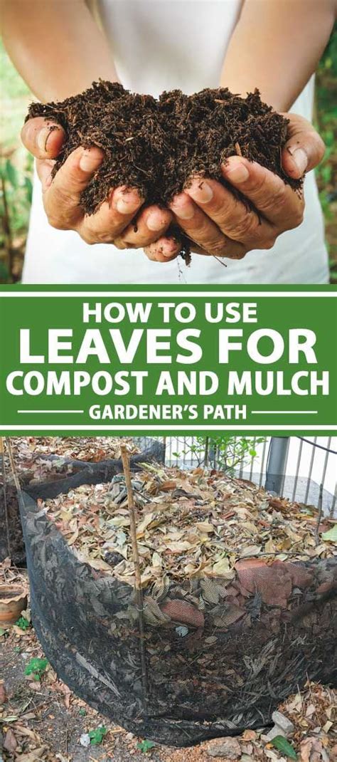 how to use leaf compost