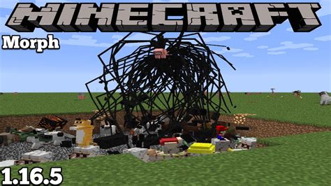 how to use morph in minecraft