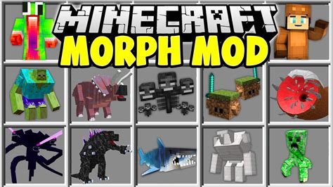 how to use morph mod in minecraft on switch