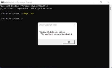 how to use msg command windows 11 home