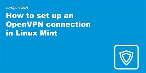 how to use openvpn on linux mint