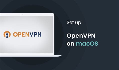 how to use openvpn on macos