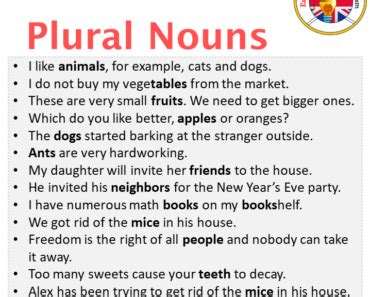 how to use plural in a sentence