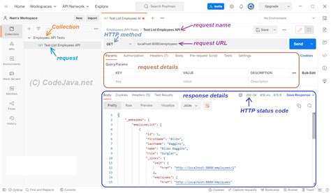 how to use postman to test api on localhost