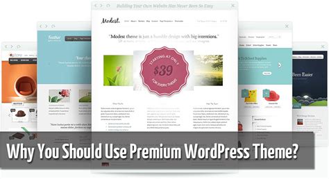 how to use premium theme on wordpress