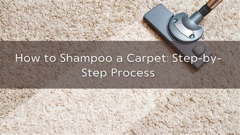 how to use shampoo carpet