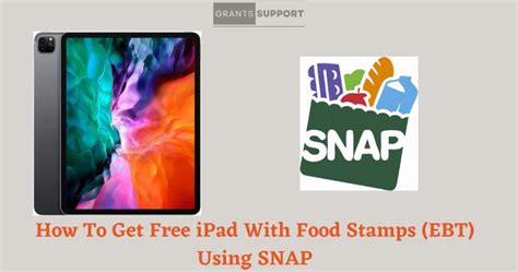 how to use snap web on ipad