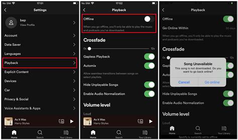 how to use spotify premium offline