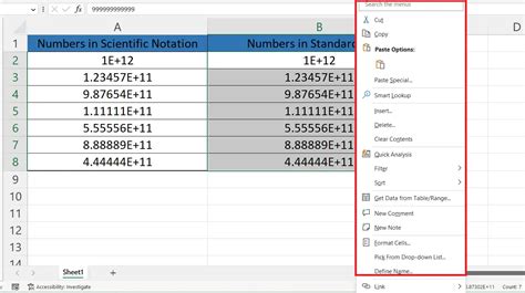 how to use standard form in excel