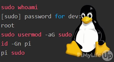 how to use sudo commands