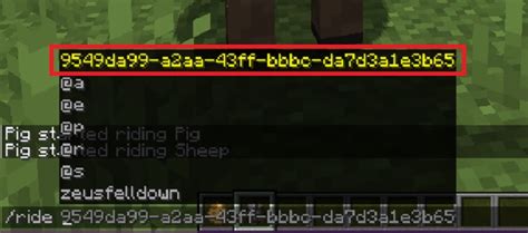 how to use the ride command in minecraft nintendo switch