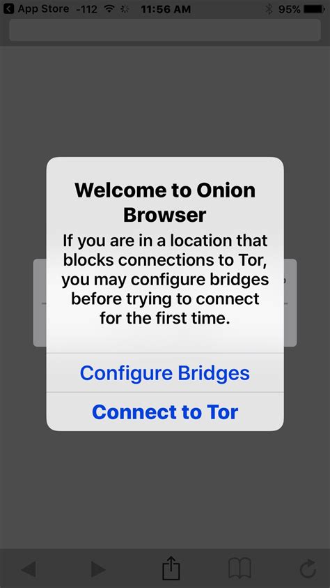 how to use tor browser on iphone