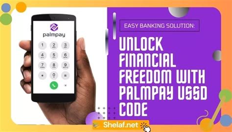 how to use ussd code for palmpay