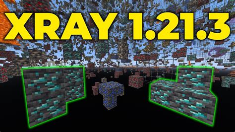 how to use xray in minecraft java 1.21 1