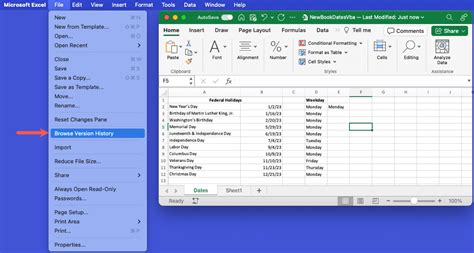 how to view excel files on mac