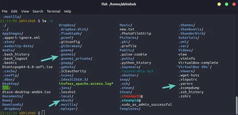 how to view hidden directory in linux terminal