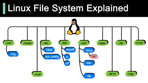 how to view html file in linux