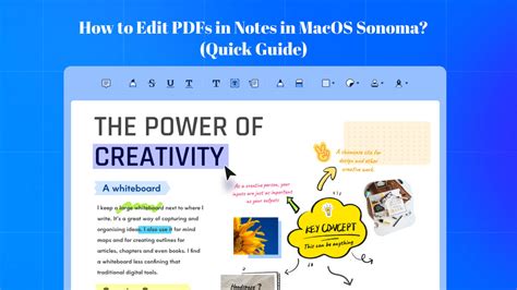 how to view pdf notes