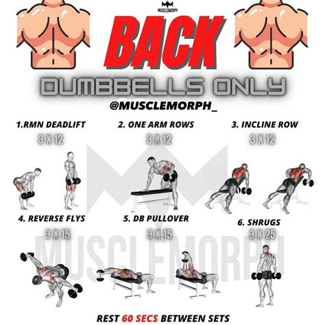how to work the back with dumbbells