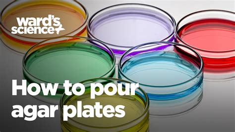 how to work with agar agar