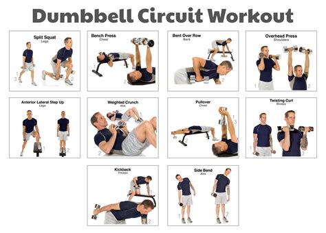 how to workout with dumbbells for beginners