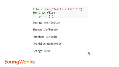 how to write a list in text file using python