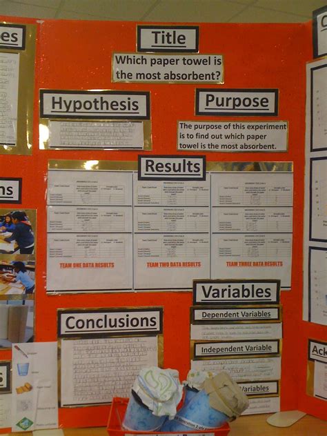 how to write a purpose statement for science fair